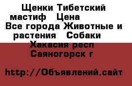  Щенки Тибетский мастиф › Цена ­ 50 000 - Все города Животные и растения » Собаки   . Хакасия респ.,Саяногорск г.